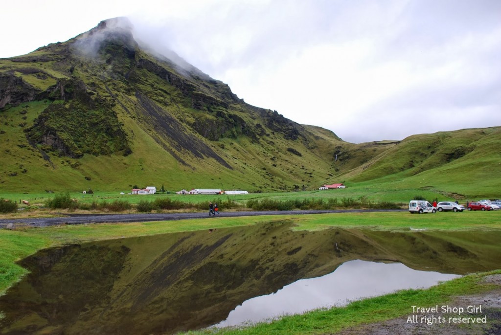 The beauty of Iceland and all of its greenery
