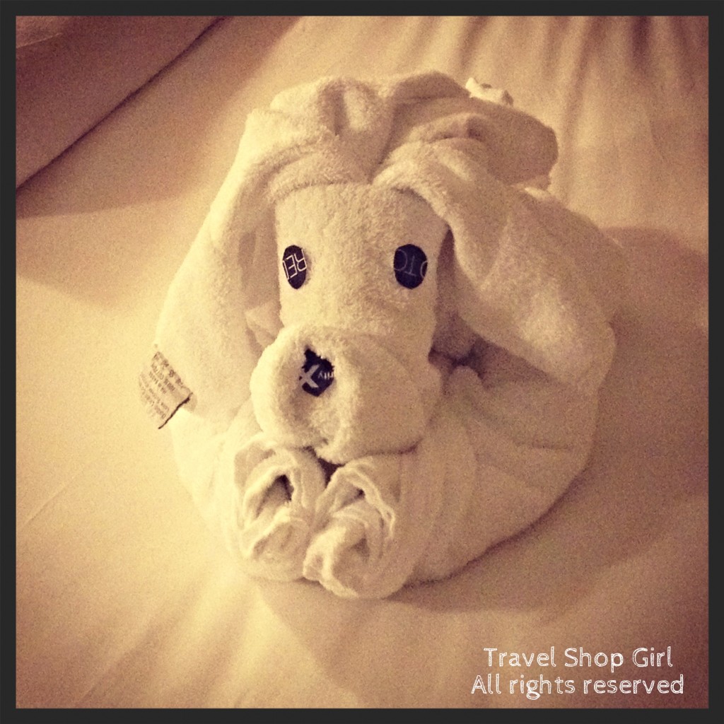 My Celebrity Cruises towel puppy