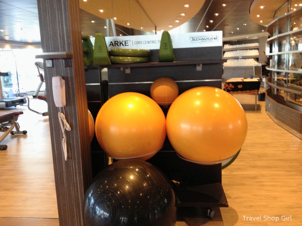 Technogym equipment, Bosu balls, and more