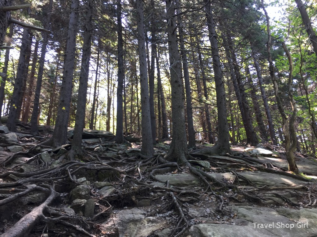 Climbing Pack Monadnock