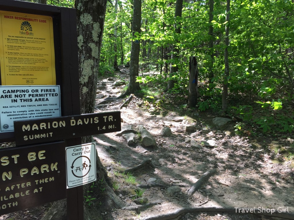 Last look back as we head out of Marion Davis Trail