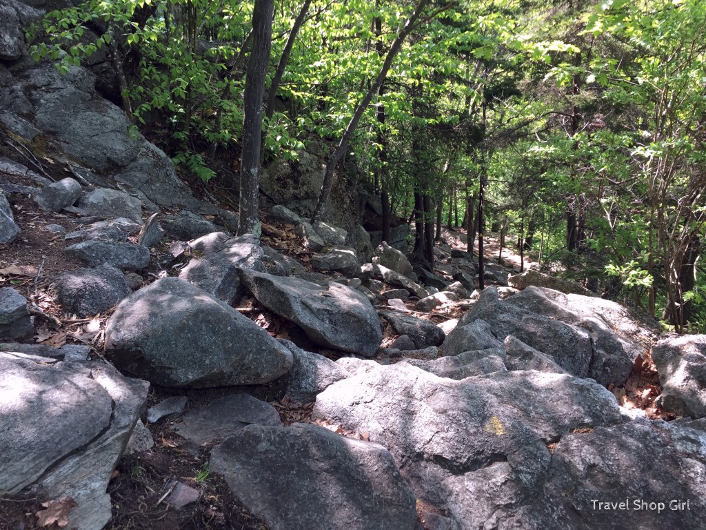 Climbing Pack Monadnock