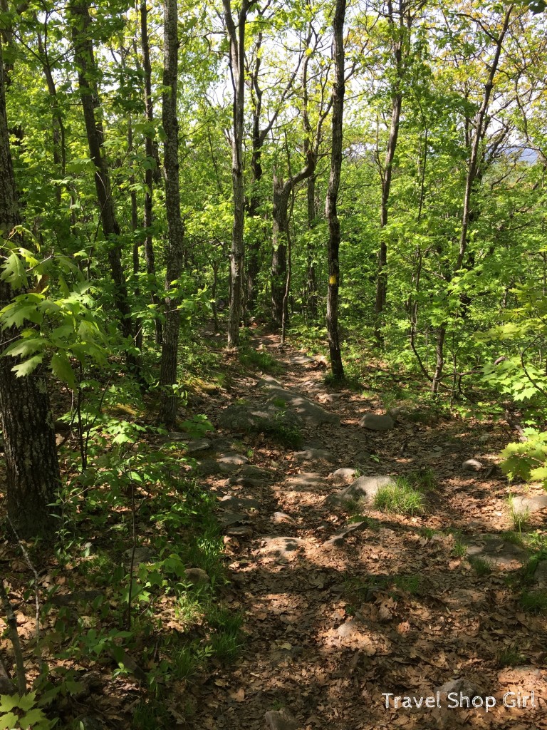 Climbing Pack Monadnock