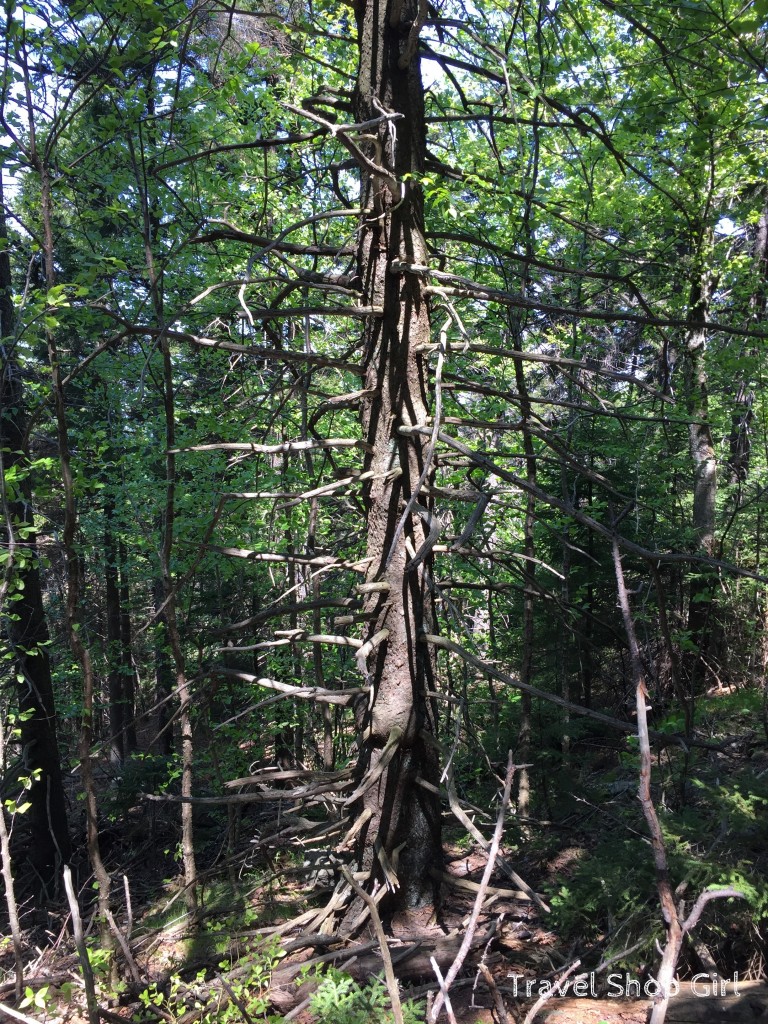 Climbing Pack Monadnock