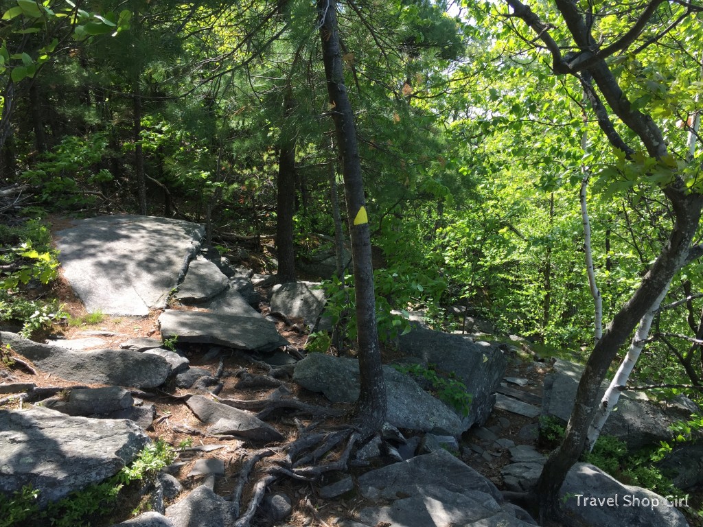 Climbing Pack Monadnock