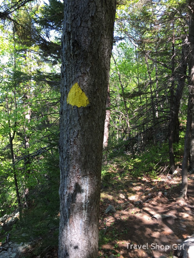 Climbing Pack Monadnock