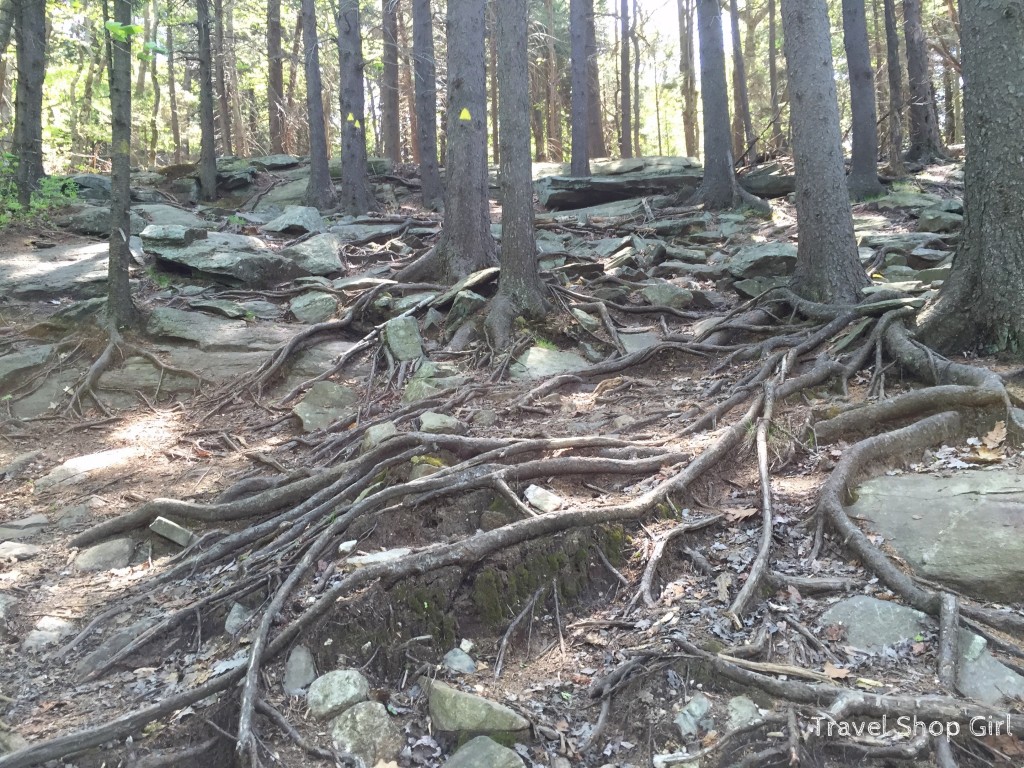 Climbing Pack Monadnock