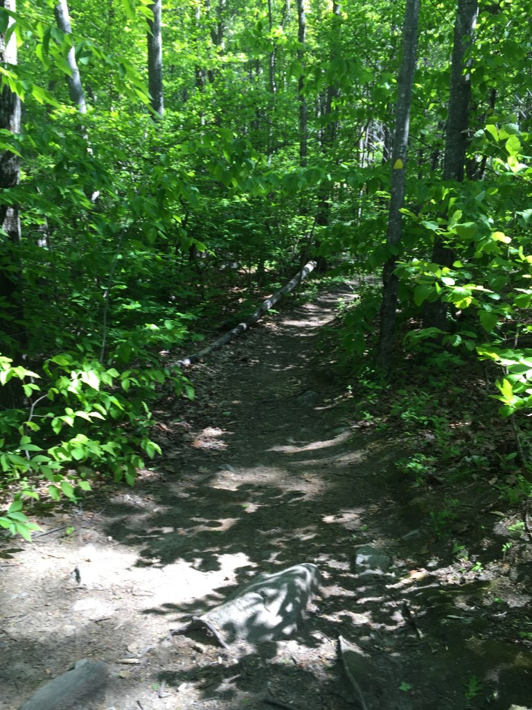 Climbing Pack Monadnock