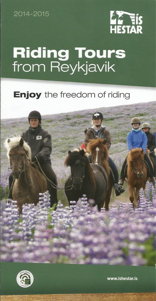 icelandic-horses-horseback-riding-lava-tour-with-shestar-in-iceland