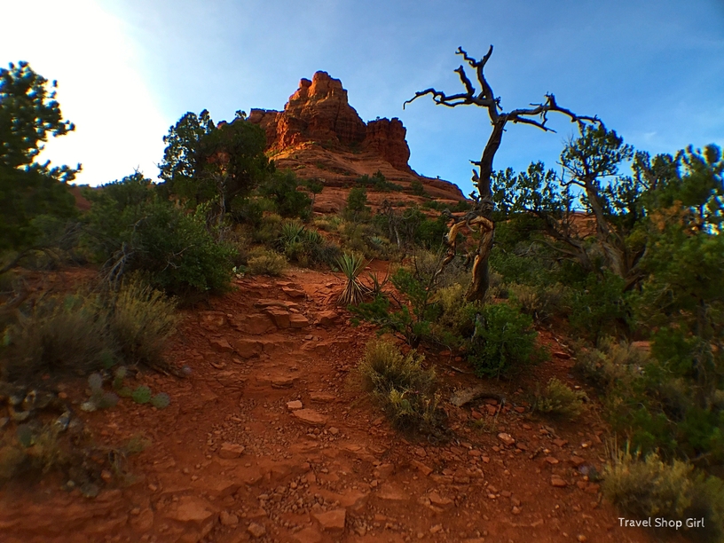 red rocks of Sedona