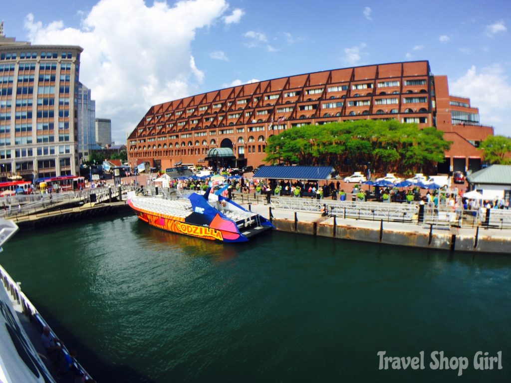 boston harbor cruises whale watch