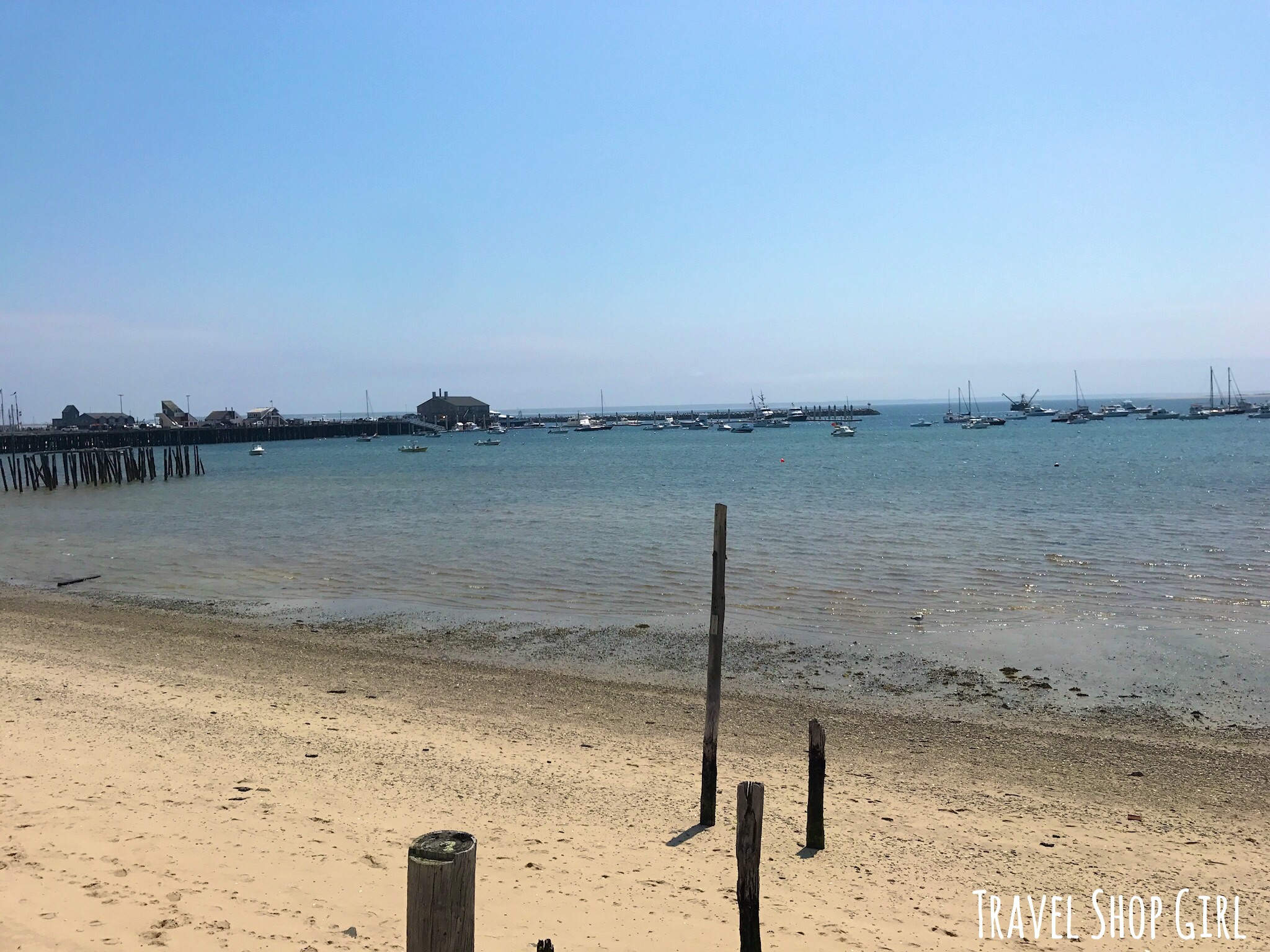 Vegan Provincetown