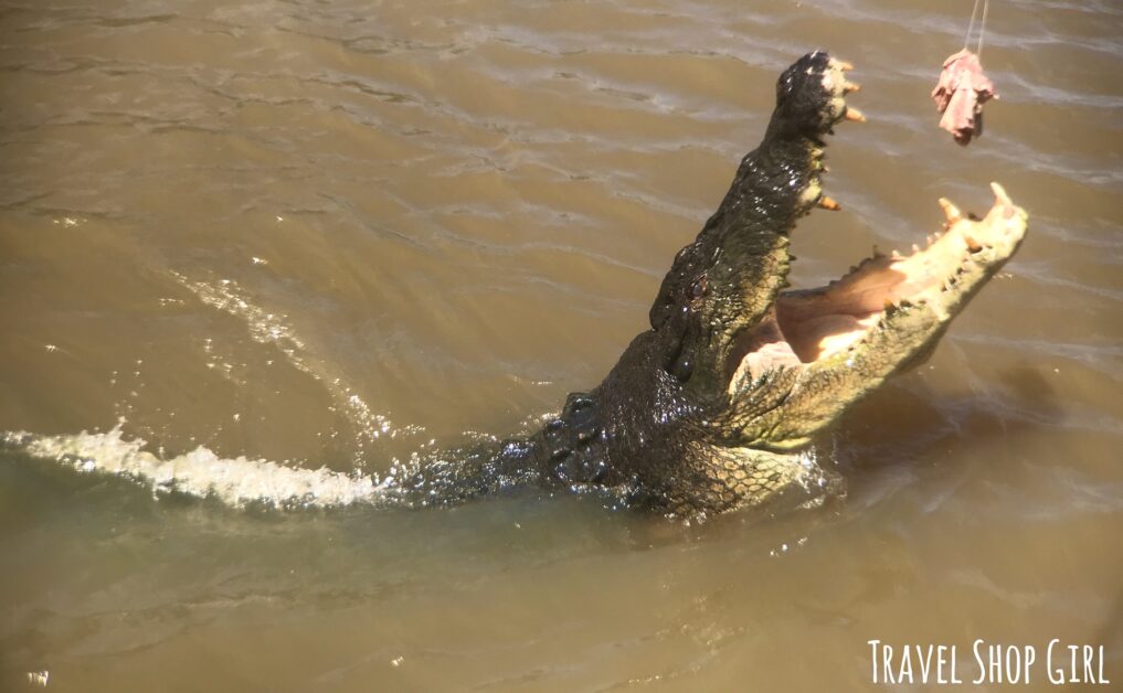 World Cruise Update: Crocodile Country Down Under in Darwin, Australia
