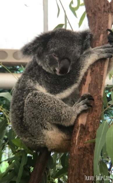 image_2018-03-02-093901-